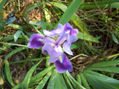 FOTO001