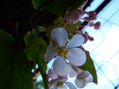 FOTO024