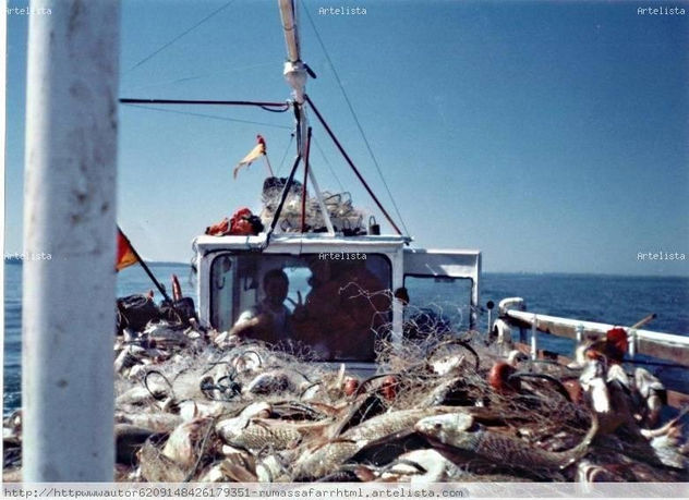 FOTOGRAFIA ,vuelta al  puerto,buena pesca
