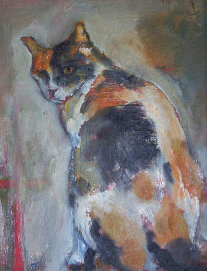 retrato de gato 