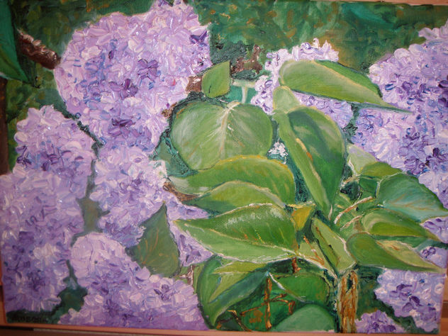 LILAS