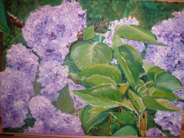 LILAS 