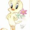 Piolin