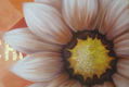me quiere