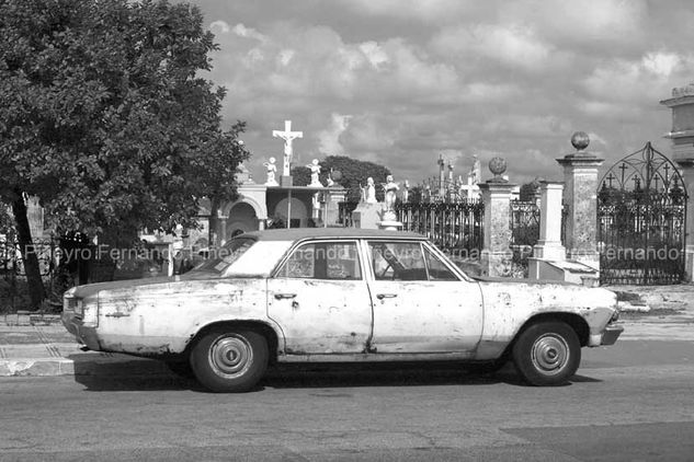 Cementerio I Other Themes Black and White (Digital)