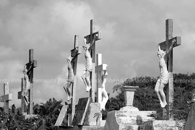 Cementerio II Otras temáticas Blanco y Negro (Digital)