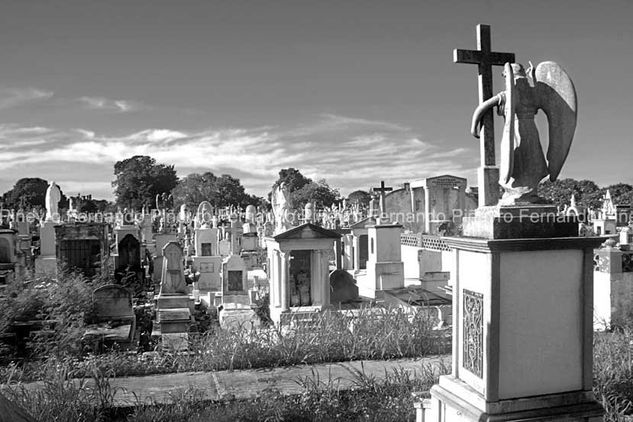 Cementerio III Other Themes Black and White (Digital)