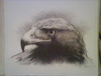 Cabeza de aguila