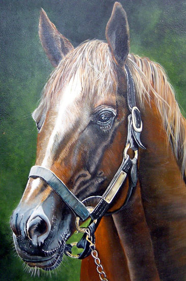 horse Oil Canvas Animals