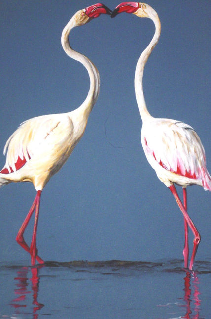 Garzas