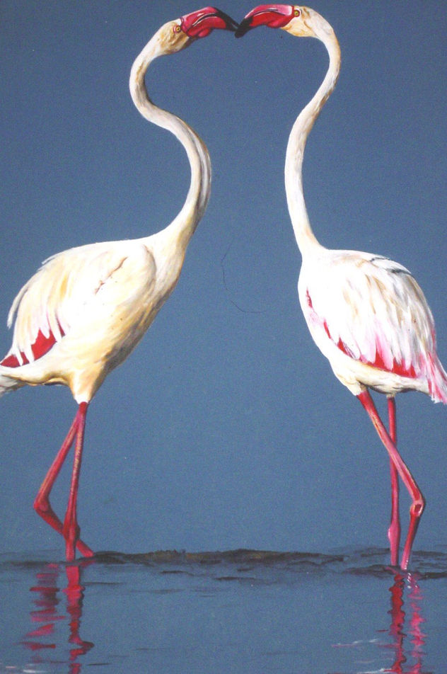 garzas
