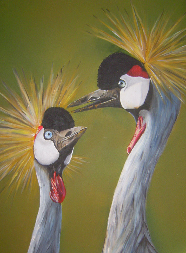 aves