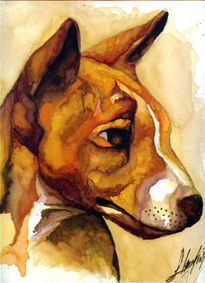 Dibujo canino