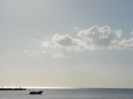 Playa celestun 2