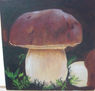 ceps