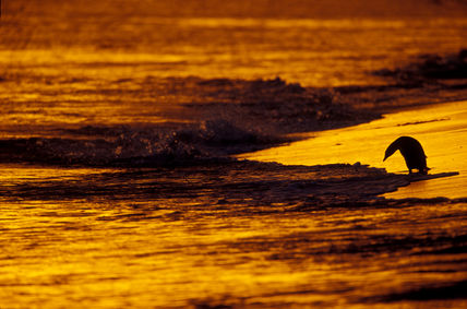 Puesta de sol