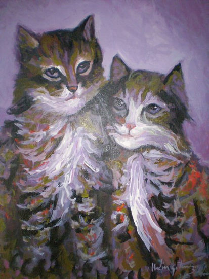 gatos 