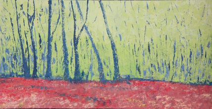 Bosque de hayas...
