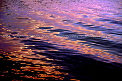Olas y reflejos
