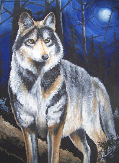 Lobo mexicano Oil Canvas Animals