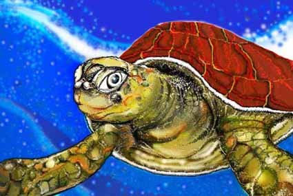 Tortuga
