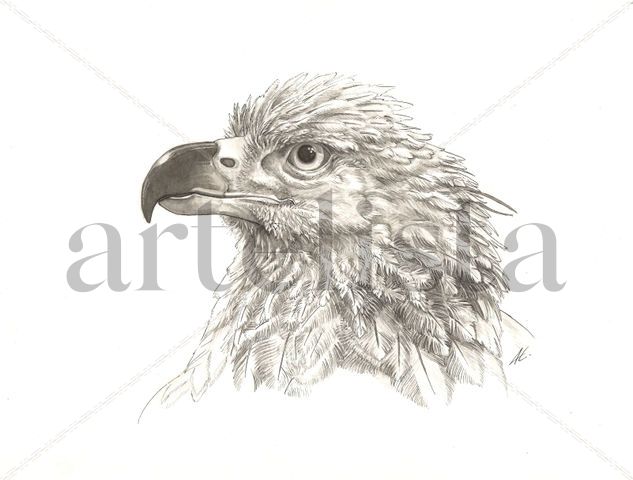 Águila coronada Ink