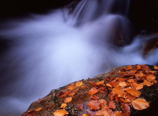 cascada otoñal 