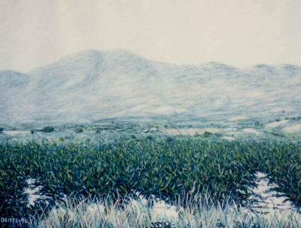 Paisaje