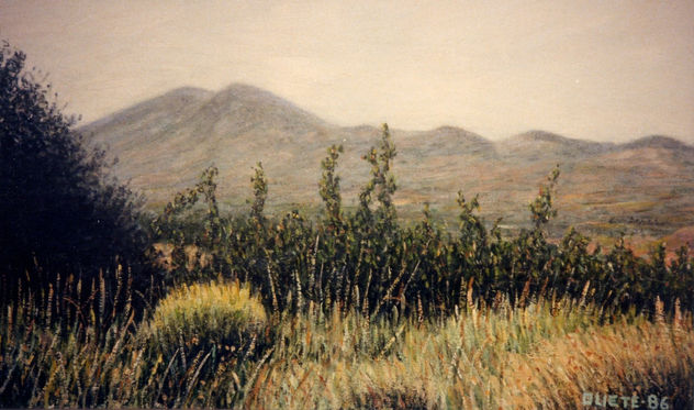 paisaje
