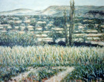 Paisaje de alacon...