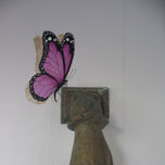 Trampantojo. Ruhana. Estepona. thumbnail 1