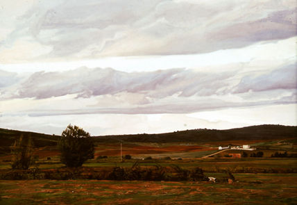 Campos zamoranos