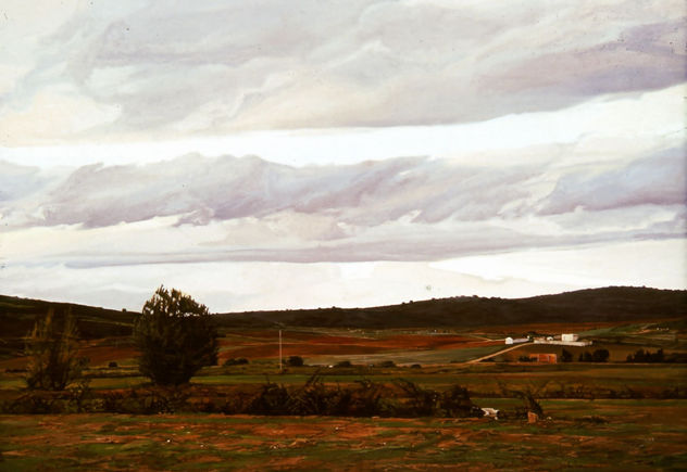 CAMPOS ZAMORANOS