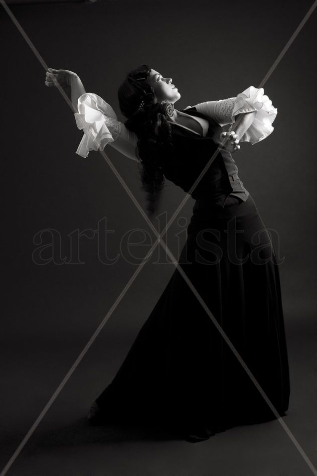 FLAMENCOS 5