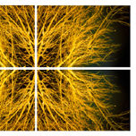 mandalas thumbnail 1
