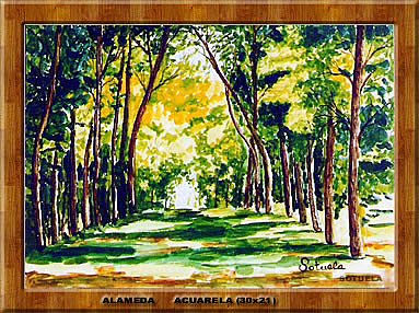 Alameda Watercolour Paper Landscaping