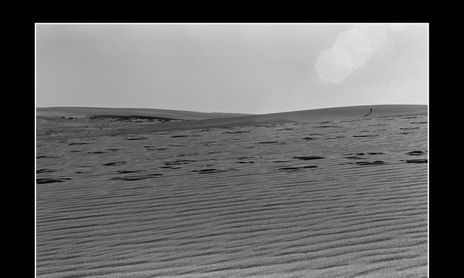 En las dunas...
