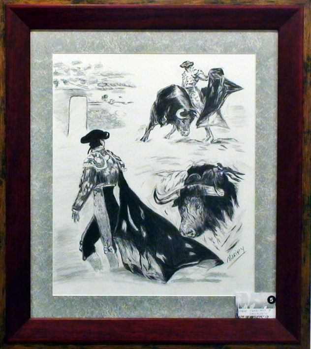 plumilla torero