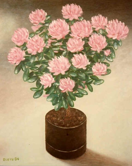 Flores