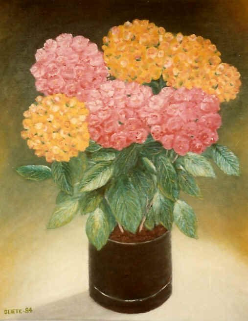 flores