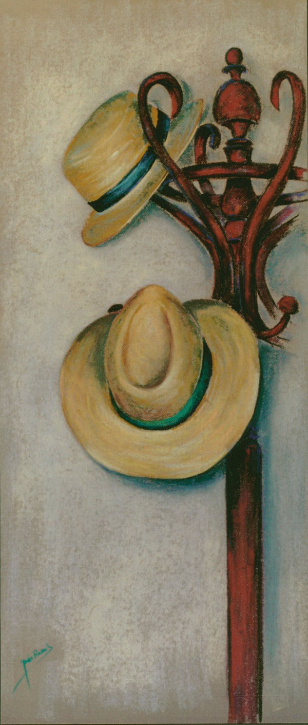Perchero marrón (Brown Clothes Stand)