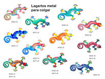 Lagarto,lagarto