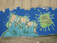 Graffiti: Fosa(edu) On The River