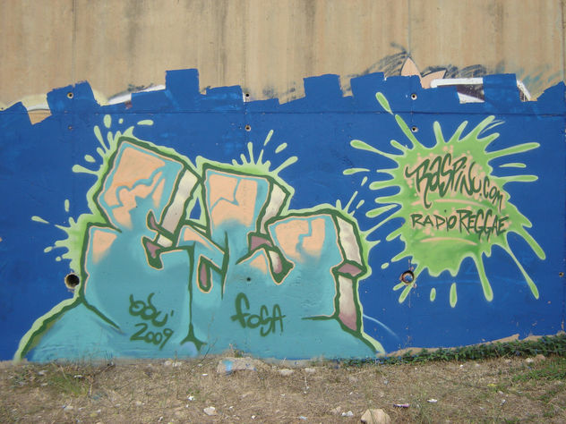 Graffiti: Fosa(edu) On The River