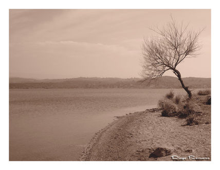 Solitario