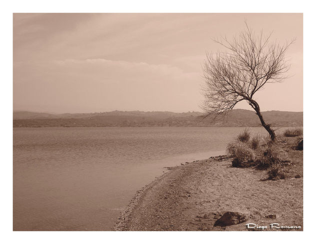 solitario