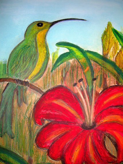 Colibri2