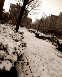 Los bajos nevados