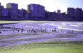 playas del norte