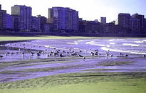 Playas del norte